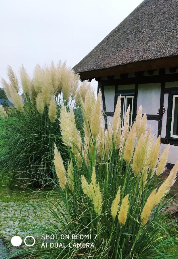 Podroze Checz Villa Charbrowo Екстериор снимка