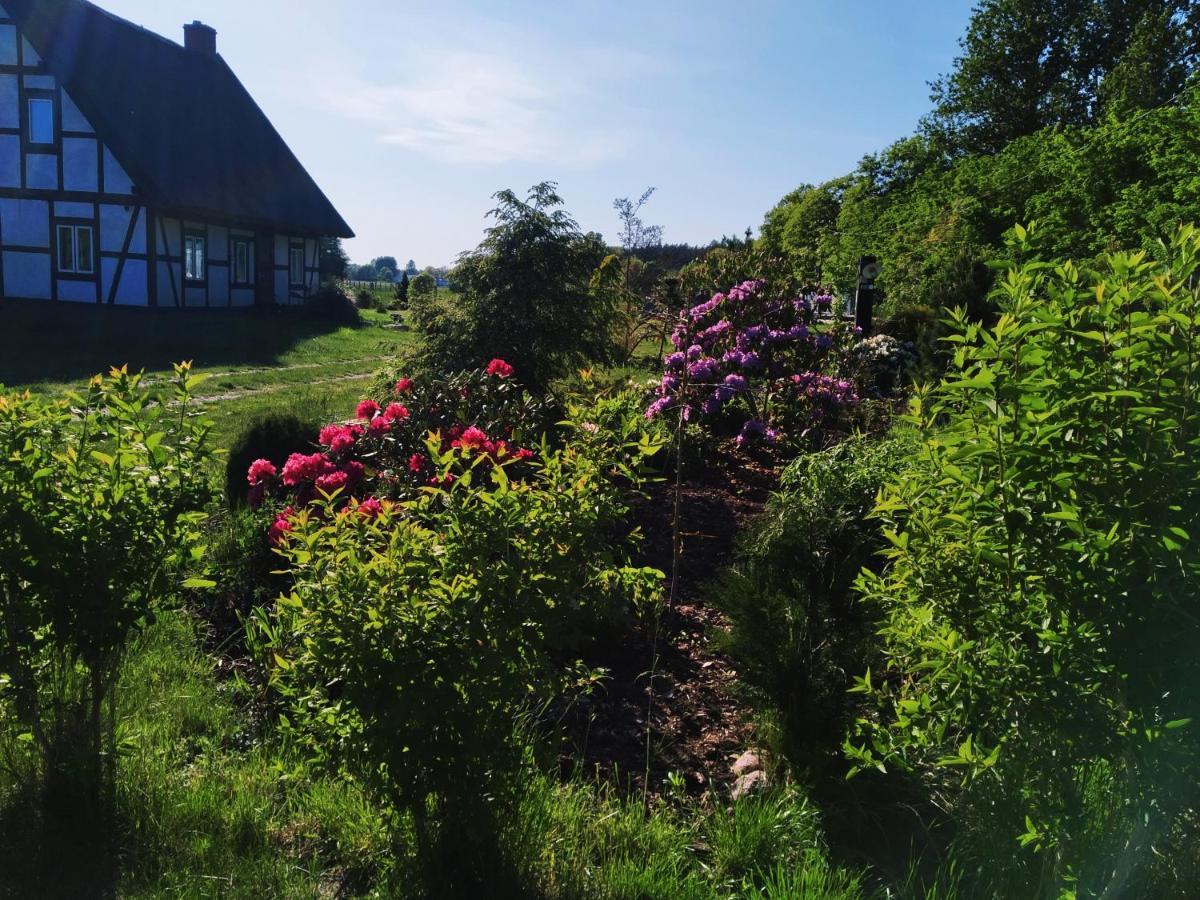 Podroze Checz Villa Charbrowo Екстериор снимка