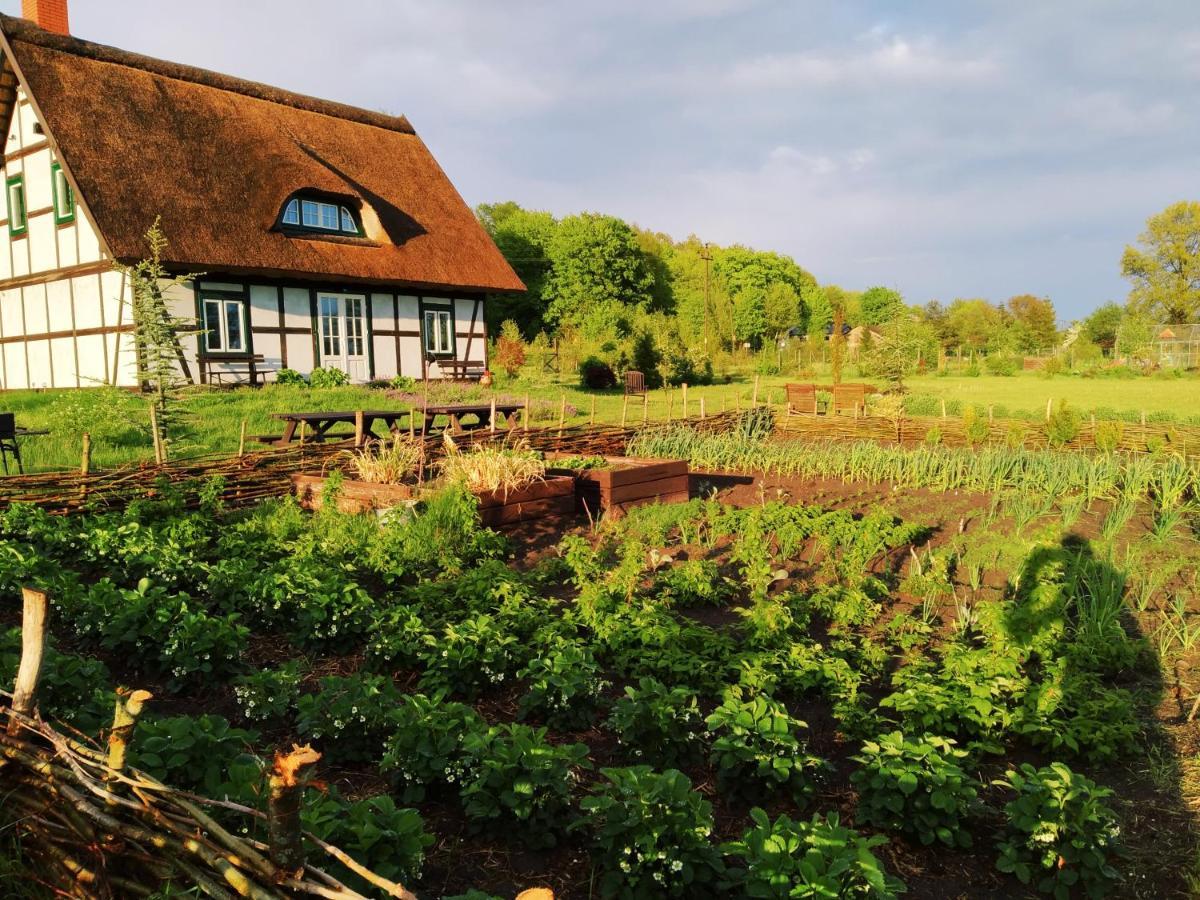 Podroze Checz Villa Charbrowo Екстериор снимка