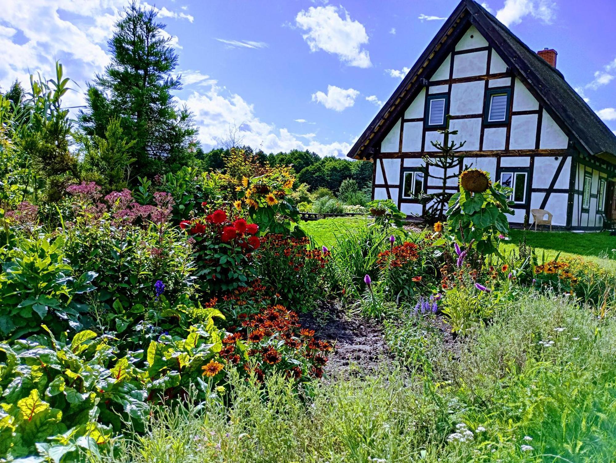 Podroze Checz Villa Charbrowo Екстериор снимка