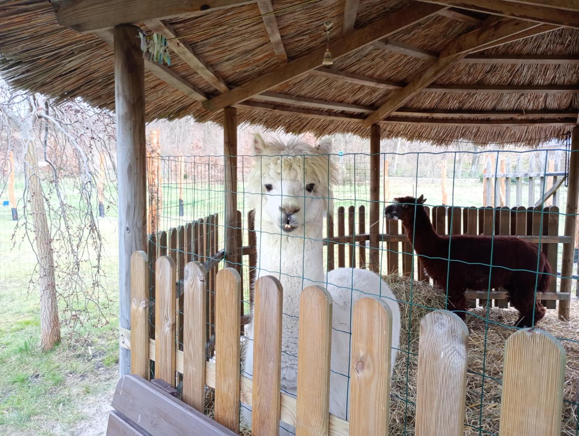 Podroze Checz Villa Charbrowo Екстериор снимка